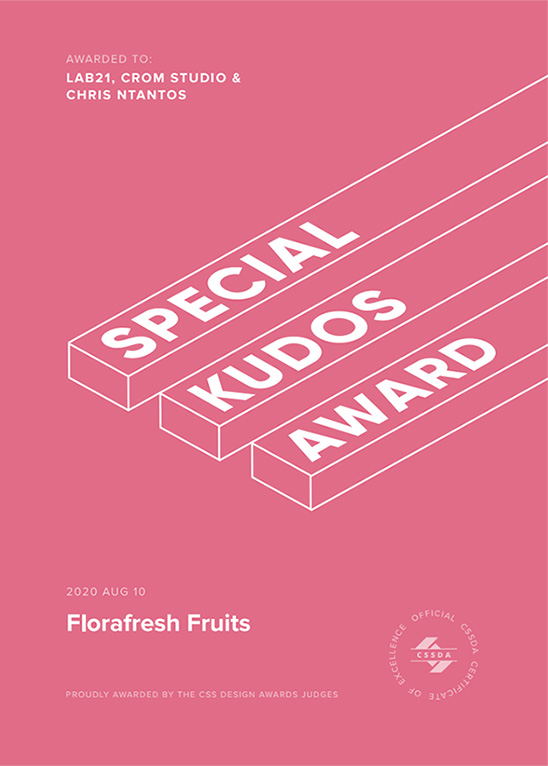 CSS design Awards - special kudos award